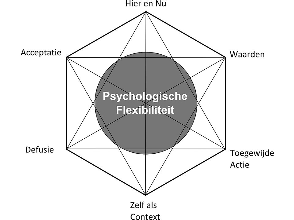 Acceptance and Commitment Therapy (ACT)