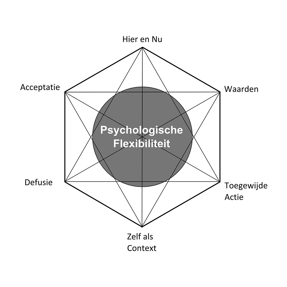 Acceptance and Commitment Therapy (ACT)