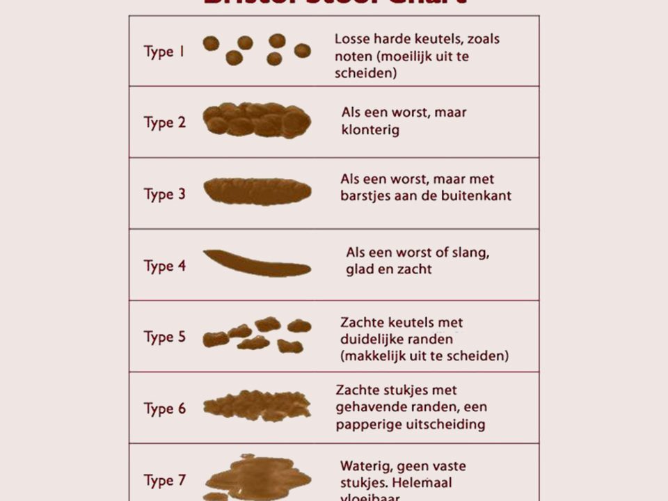 Blog Bristol Stool Chart