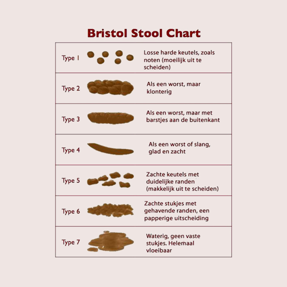 Blog Bristol Stool Chart